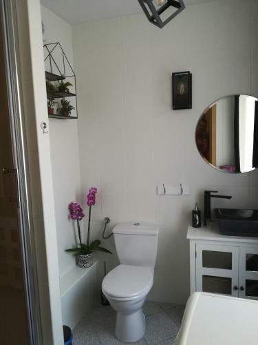 Apartamento Central Point
