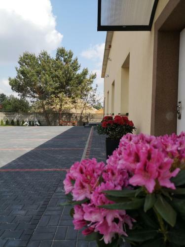 Agroturismo Noclegi U Adama