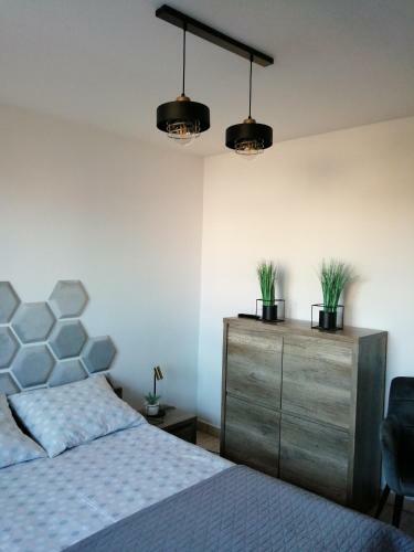 Apartamento Pokoje Go?cinne Alex