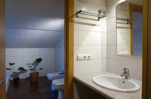 Apartament �liba Cal Veterinari