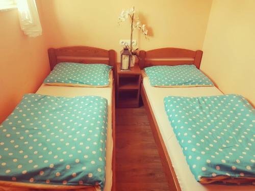 Hostal Noclegi U Dyncyka