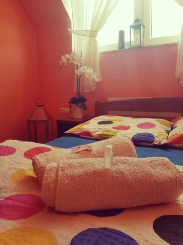 Hostal Noclegi U Dyncyka