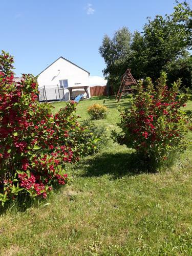 Apartamento Agroturystyka Skrzecz�wka
