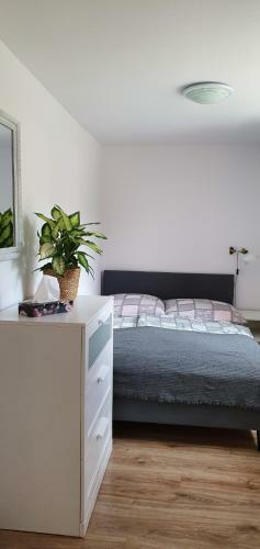 Apartamenty I Pokoje Go?cinne Zosia