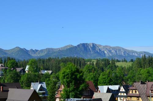 Bed & Breakfast Galic�wka