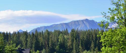 Bed & Breakfast Galic�wka