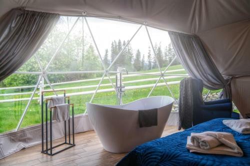 Mountain Glamp