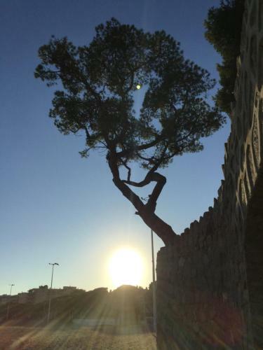 Apartamento Politur