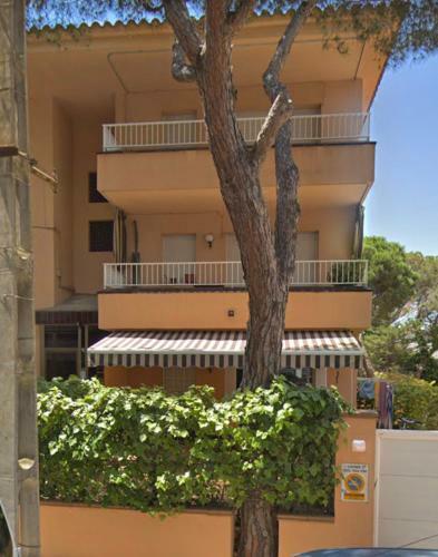 Apartamento Con Ubicaci�n Inmejorable