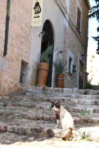 Hotel Can Pera Accommodation - Ti