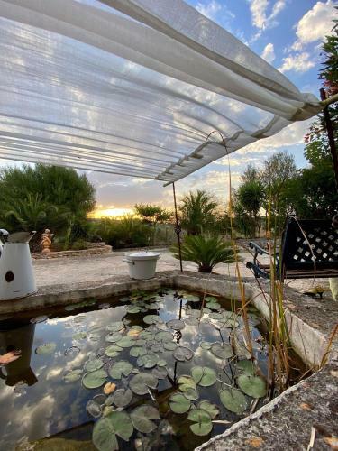 Apartamento Finca Oase - App.tejado