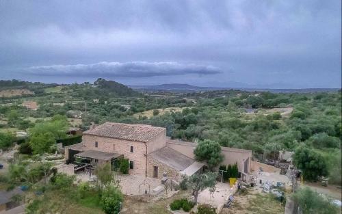 La Cigarra Alta - Can Carrasco