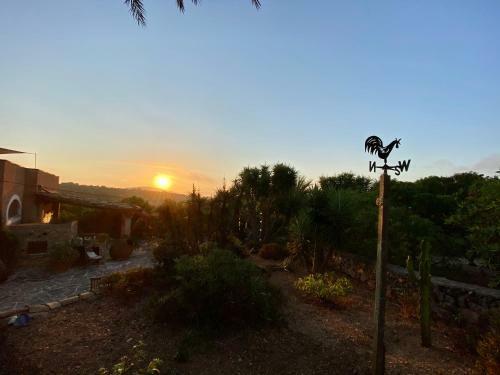 App. Grande - Osten Mallorca - Adults Only Apartments
