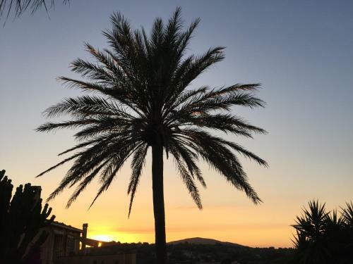 App. Grande - Osten Mallorca - Adults Only Apartments