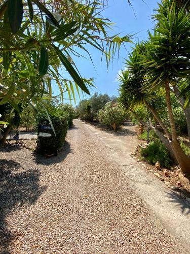 App. Grande - Osten Mallorca - Adults Only Apartments