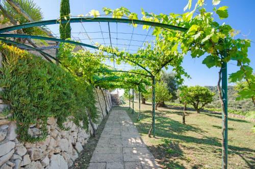 Villa Finca Son Roman�