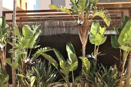 Chill Out Ground Floor Apartm +private Garden+wifi