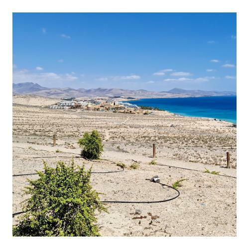Apartamento Your Ocean Blue