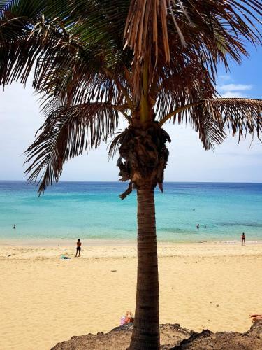 Apartamento Your Ocean Suite