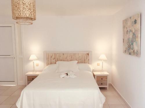 Apartamento Cardon Big Calm 10