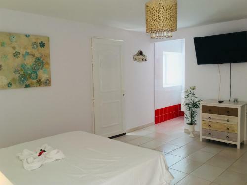 Apartamento Cardon Big Calm 10