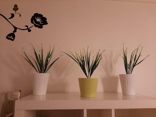 Apartamento Independiente Luz