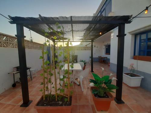 Apartamento Independiente Luz