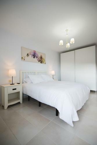 Apartamento Cardon Big Calm 19