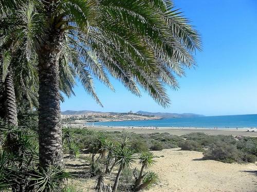 Apartments Near The Beach, With Terrace And Wifi