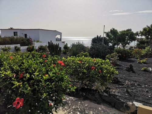 Apartamento Los Hibiscos 404