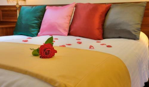 Bed & Breakfast Grove Guest House