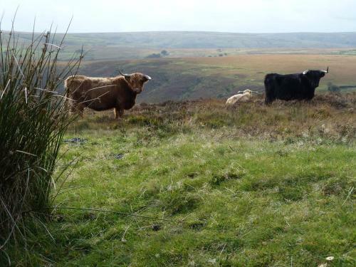 Bed & Breakfast Wilsham Farm