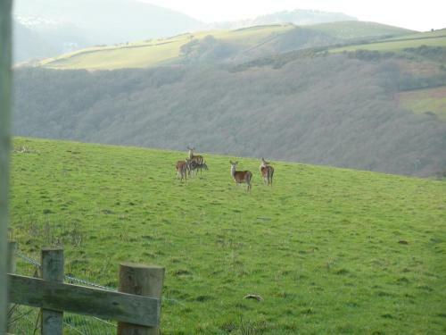 Bed & Breakfast Wilsham Farm