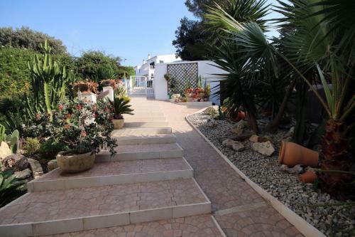 Apartamento Casa Dieter