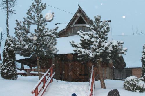 Bed & Breakfast Willa Grzesiczek