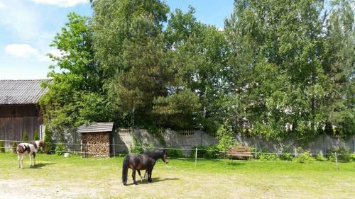 Agroturismo Stylowy Pok�j W Stajni