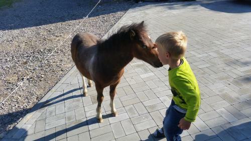 Agroturismo Stylowy Pok�j W Stajni
