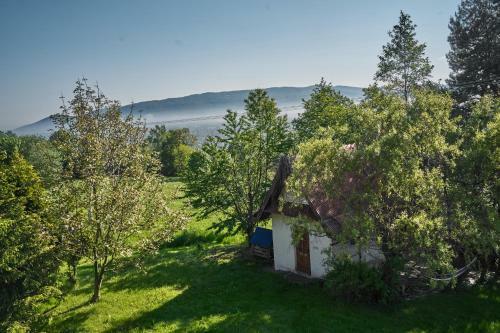 Go?ciniec Skalite