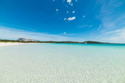 Marina Of Olbia Apartment