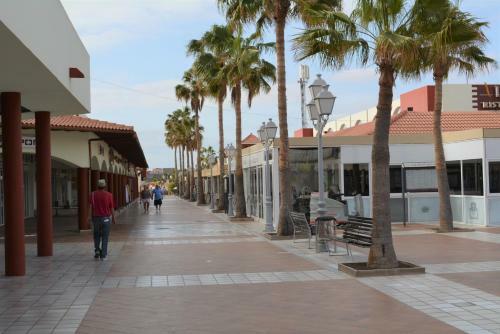 Apartamento Bungalow Montecastillo I1