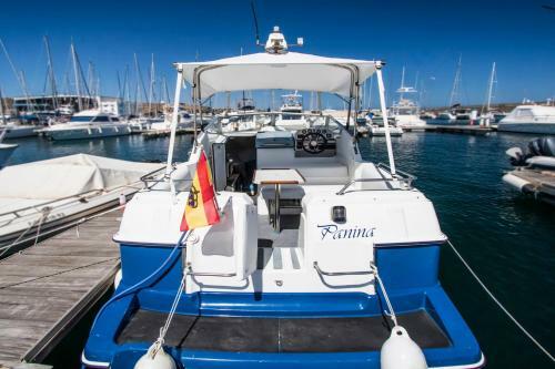 Sealine Boat