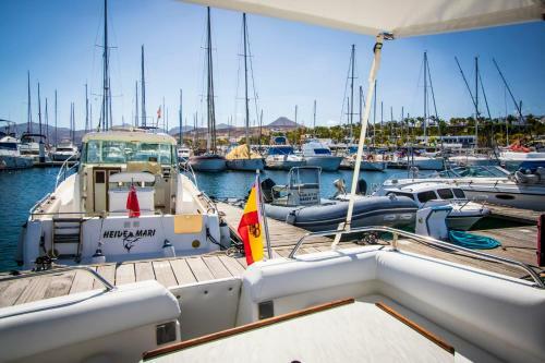 Sealine Boat