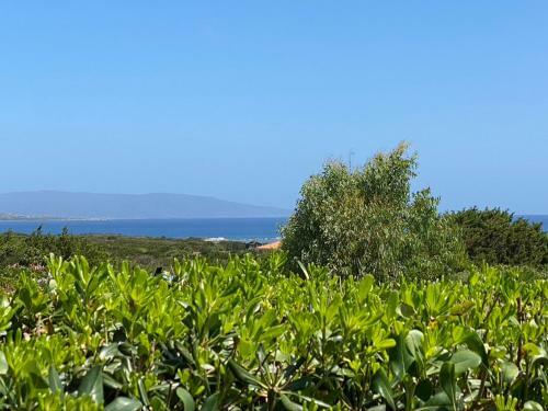 Appartamento Sole E Mare