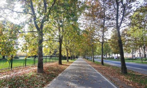 Green Holidays Torino