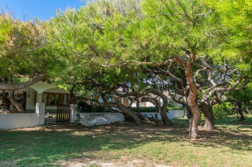 Villa Franciscus