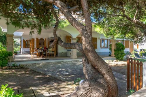 Villa Franciscus