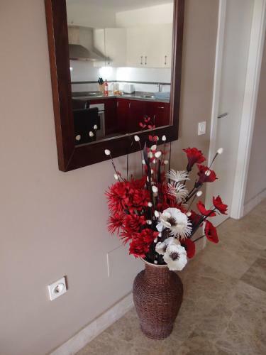 Luxury Apartment In Central Almerimar