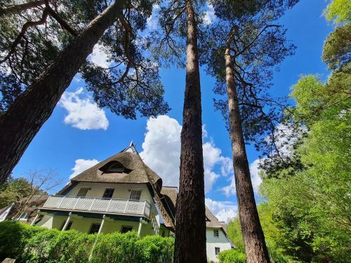 Apartamento Zingst Achtern Diek 12d Elly
