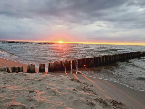 Apartamento Zingst Achtern Diek 12d Elly
