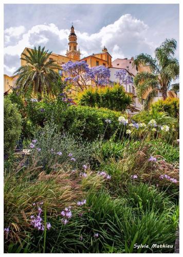 Apartamento Les Violettes
